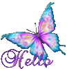 AquaButtrfly_
