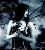 MidnightFairy