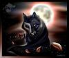 Greywolf_SnG