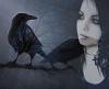 Phnxs_Raven