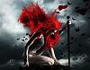 Feisty_Naught