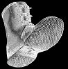 The_Boot_Mons
