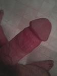mouse75