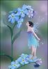 my_pixie