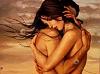 Habibi_HalCoN