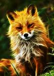 Kitsune
