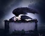 shayra_ARCANO