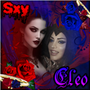PHRCleo_EVB_C