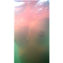 Claires_slamp