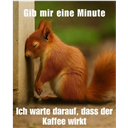 O_Nussi_O