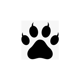 Rose_sl_Lechaton