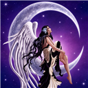 StarryNite
