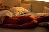 martin_de