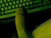 BigBri_73