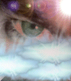 NightStalker7