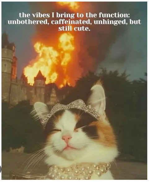 unhinged but still cute