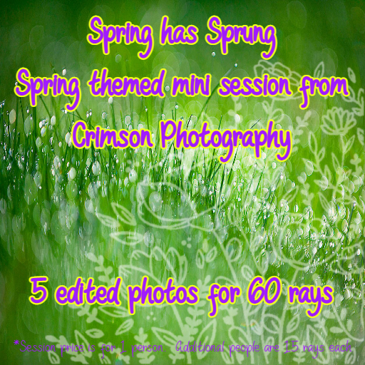 Spring mini advert