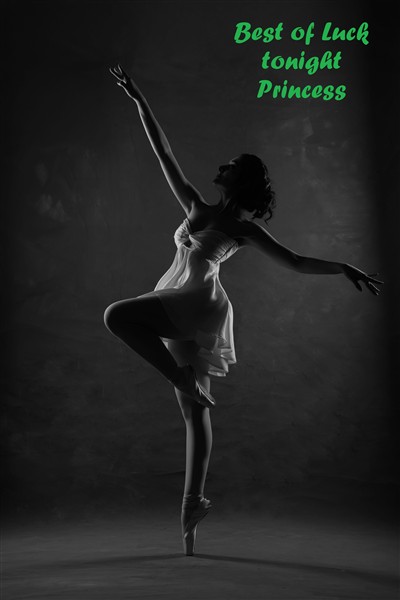 The Princess Dances