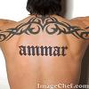 ammar2011