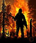 wildfire1