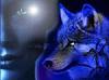Mr_Wolf_Ger