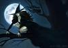 Risque_Raven