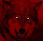 Knight_Wolf_BHNW