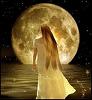 ms_moonbeams