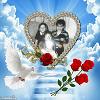 angel_macr_Lo
