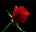 Miss_Kylie_2U
