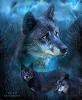 TIMBER_WOLF_E