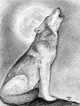 Wolf_NSA