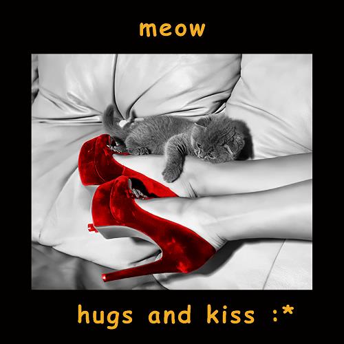meow