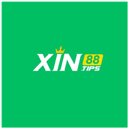xin88tips