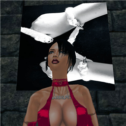 Barbis_Pet_Alba
