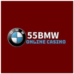 bmw555pro