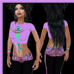 Shellbee_Rainbow