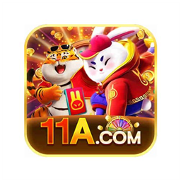 11a11acombr