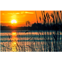 Cocosun