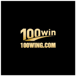 100wingcom