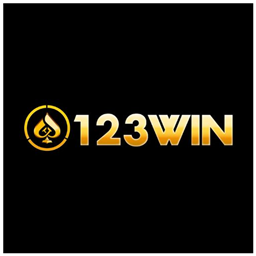 123wincomputer