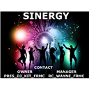 SINERGY_DT