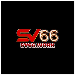 linksv66work