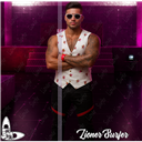 Lioner_Design