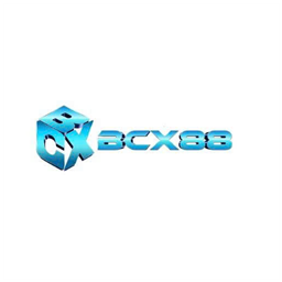 bcx88work