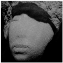 ECs_Jana_BFM