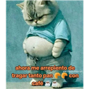 Cesar